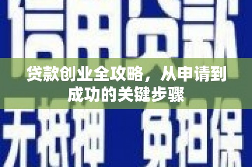 芬园贷款创业全攻略，从申请到成功的关键步骤