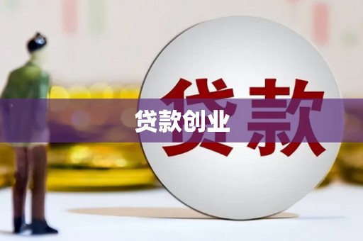 芬园贷款创业