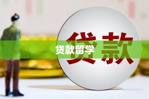 芬园贷款留学