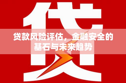 芬园贷款风险评估，金融安全的基石与未来趋势