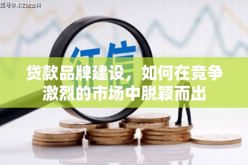 芬园贷款品牌建设，如何在竞争激烈的市场中脱颖而出
