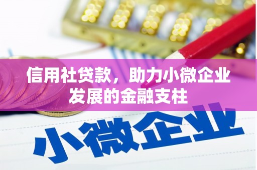 芬园信用社贷款，助力小微企业发展的金融支柱