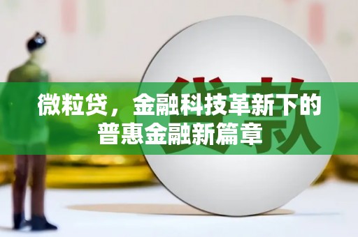 芬园微粒贷，金融科技革新下的普惠金融新篇章