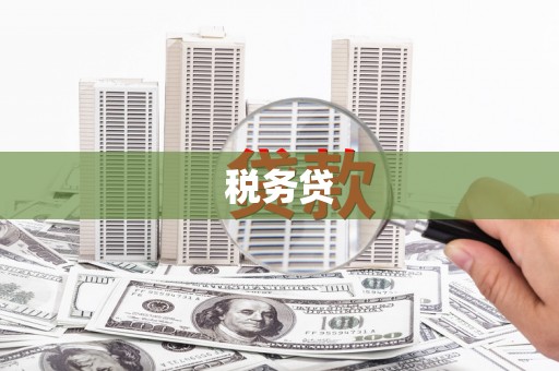 芬园税务贷