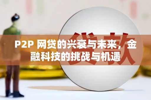 芬园P2P 网贷的兴衰与未来，金融科技的挑战与机遇