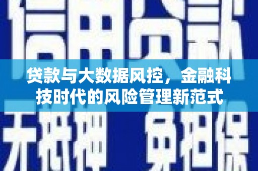 芬园贷款与大数据风控，金融科技时代的风险管理新范式