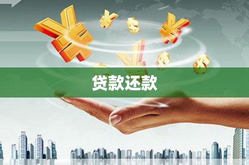 芬园贷款还款
