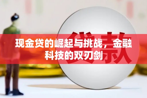 芬园现金贷的崛起与挑战，金融科技的双刃剑