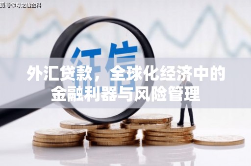 芬园外汇贷款，全球化经济中的金融利器与风险管理