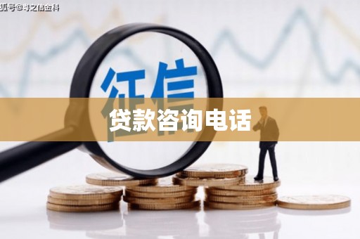芬园贷款咨询电话
