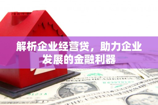 芬园解析企业经营贷，助力企业发展的金融利器