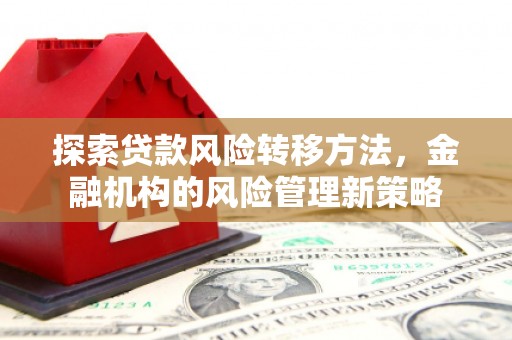 芬园探索贷款风险转移方法，金融机构的风险管理新策略