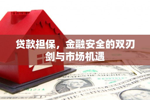 芬园贷款担保，金融安全的双刃剑与市场机遇