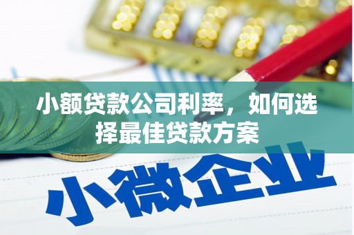 芬园小额贷款公司利率，如何选择最佳贷款方案