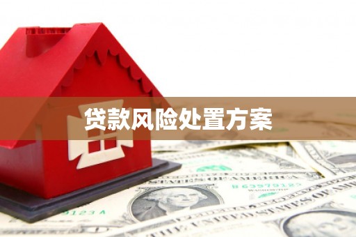 芬园贷款风险处置方案