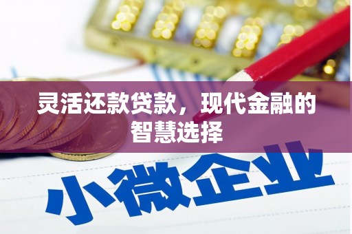 芬园灵活还款贷款，现代金融的智慧选择