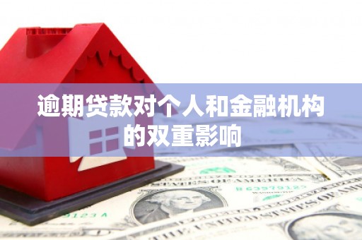 芬园逾期贷款对个人和金融机构的双重影响