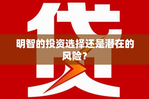 芬园明智的投资选择还是潜在的风险？