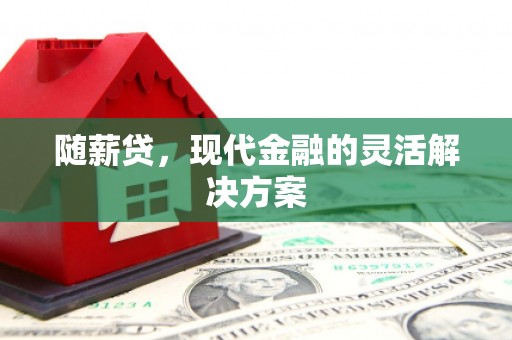 芬园随薪贷，现代金融的灵活解决方案