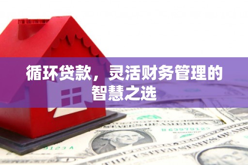 芬园循环贷款，灵活财务管理的智慧之选