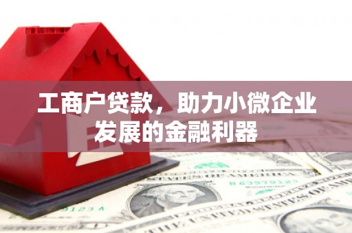 芬园工商户贷款，助力小微企业发展的金融利器