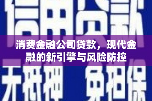 芬园消费金融公司贷款，现代金融的新引擎与风险防控