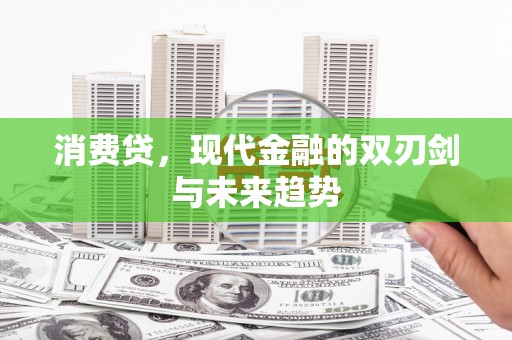 芬园消费贷，现代金融的双刃剑与未来趋势