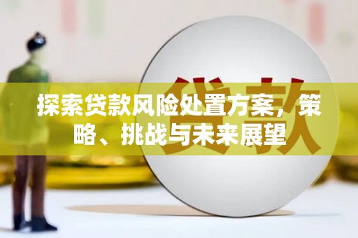 芬园探索贷款风险处置方案，策略、挑战与未来展望