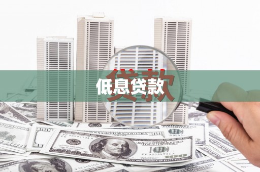 芬园低息贷款