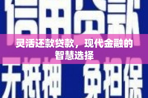 芬园灵活还款贷款，现代金融的智慧选择
