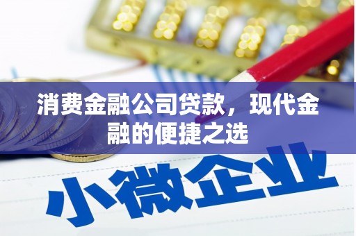 芬园消费金融公司贷款，现代金融的便捷之选