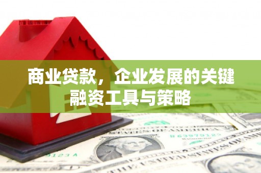 芬园商业贷款，企业发展的关键融资工具与策略