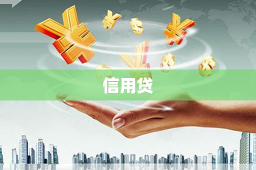 芬园信用贷