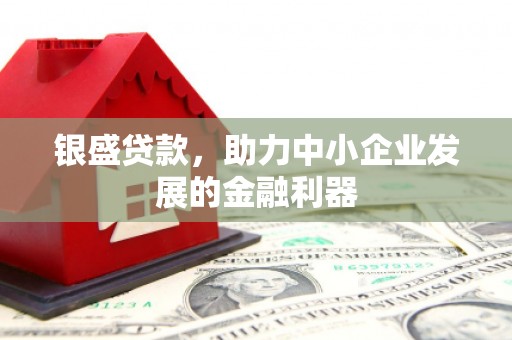 芬园银盛贷款，助力中小企业发展的金融利器
