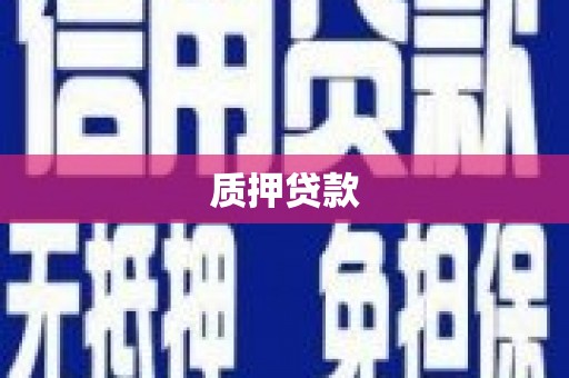 芬园质押贷款