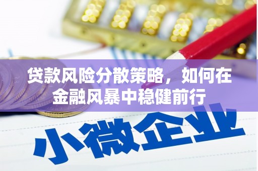 芬园贷款风险分散策略，如何在金融风暴中稳健前行