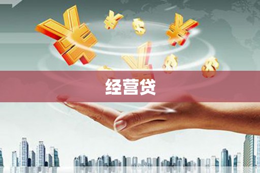 芬园经营贷