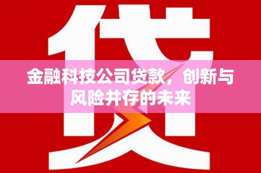 芬园金融科技公司贷款，创新与风险并存的未来