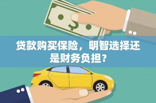 芬园贷款购买保险，明智选择还是财务负担？