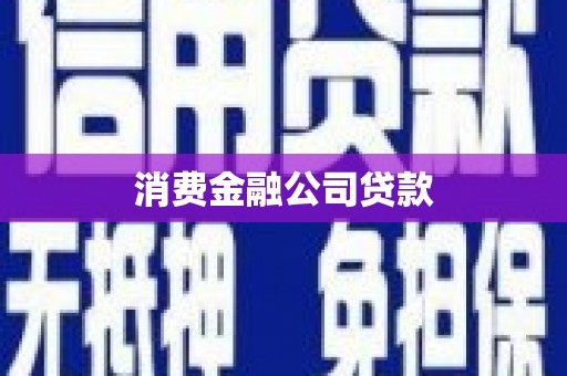 芬园消费金融公司贷款
