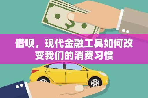 芬园借呗，现代金融工具如何改变我们的消费习惯