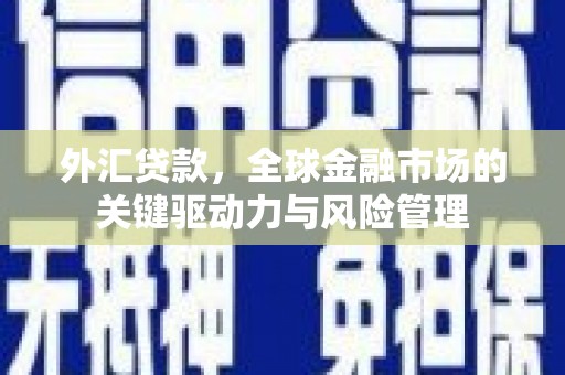 芬园外汇贷款，全球金融市场的关键驱动力与风险管理