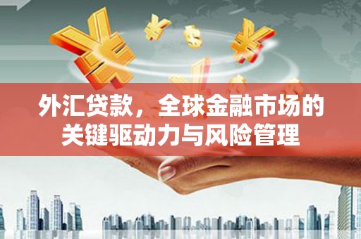 芬园外汇贷款，全球金融市场的关键驱动力与风险管理