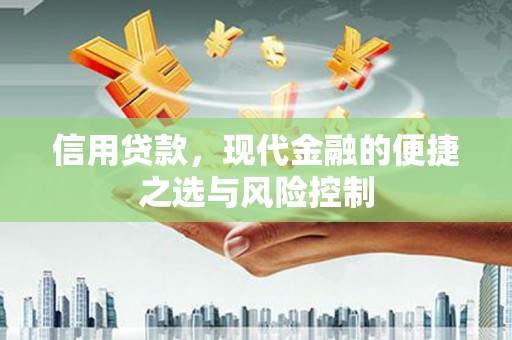 芬园信用贷款，现代金融的便捷之选与风险控制