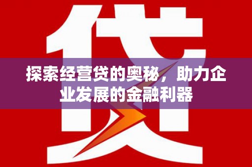 芬园探索经营贷的奥秘，助力企业发展的金融利器