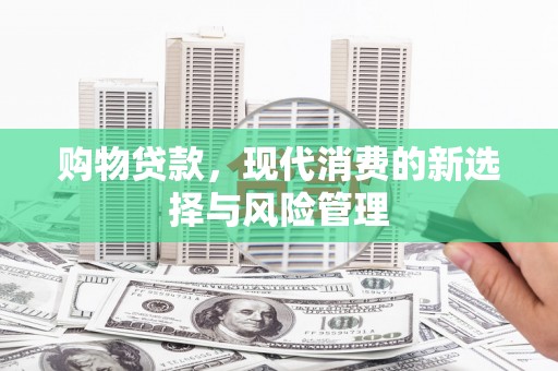 芬园购物贷款，现代消费的新选择与风险管理