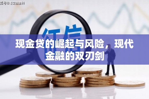 芬园现金贷的崛起与风险，现代金融的双刃剑