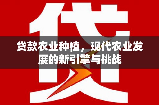 芬园贷款农业种植，现代农业发展的新引擎与挑战