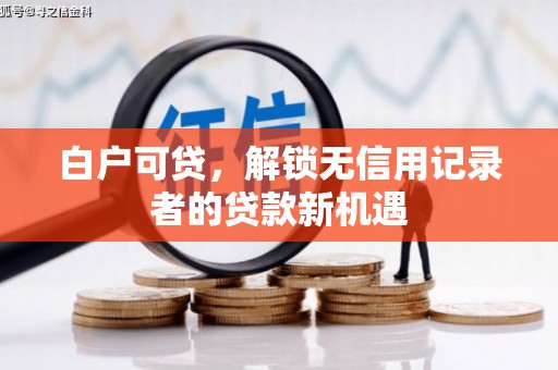 芬园白户可贷，解锁无信用记录者的贷款新机遇