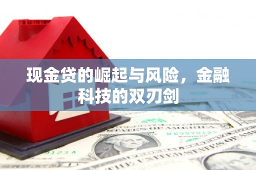 芬园现金贷的崛起与风险，金融科技的双刃剑